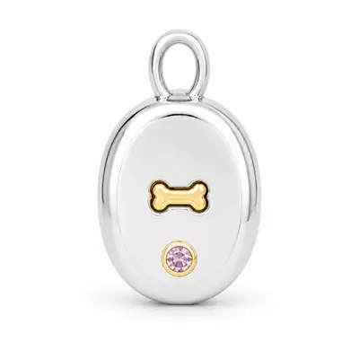 The Signet personalized BooBoos gemstone pet charm option