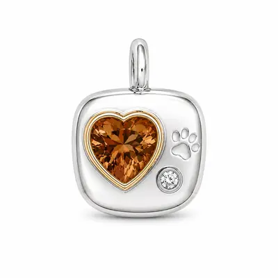 The Paw Print BooBoos charm