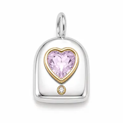 The Devoted personalized BooBoos gemstone pet charm option