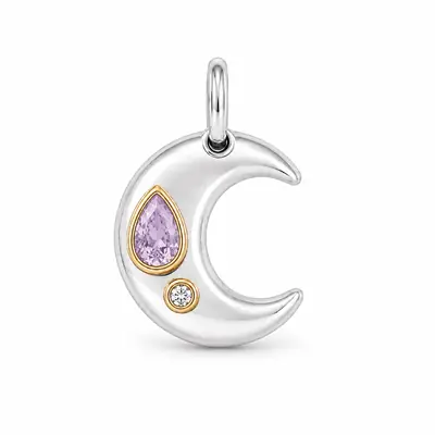The Crescent personalized BooBoos gemstone pet charm option