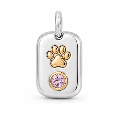 The Lucky Paw BooBoos charm