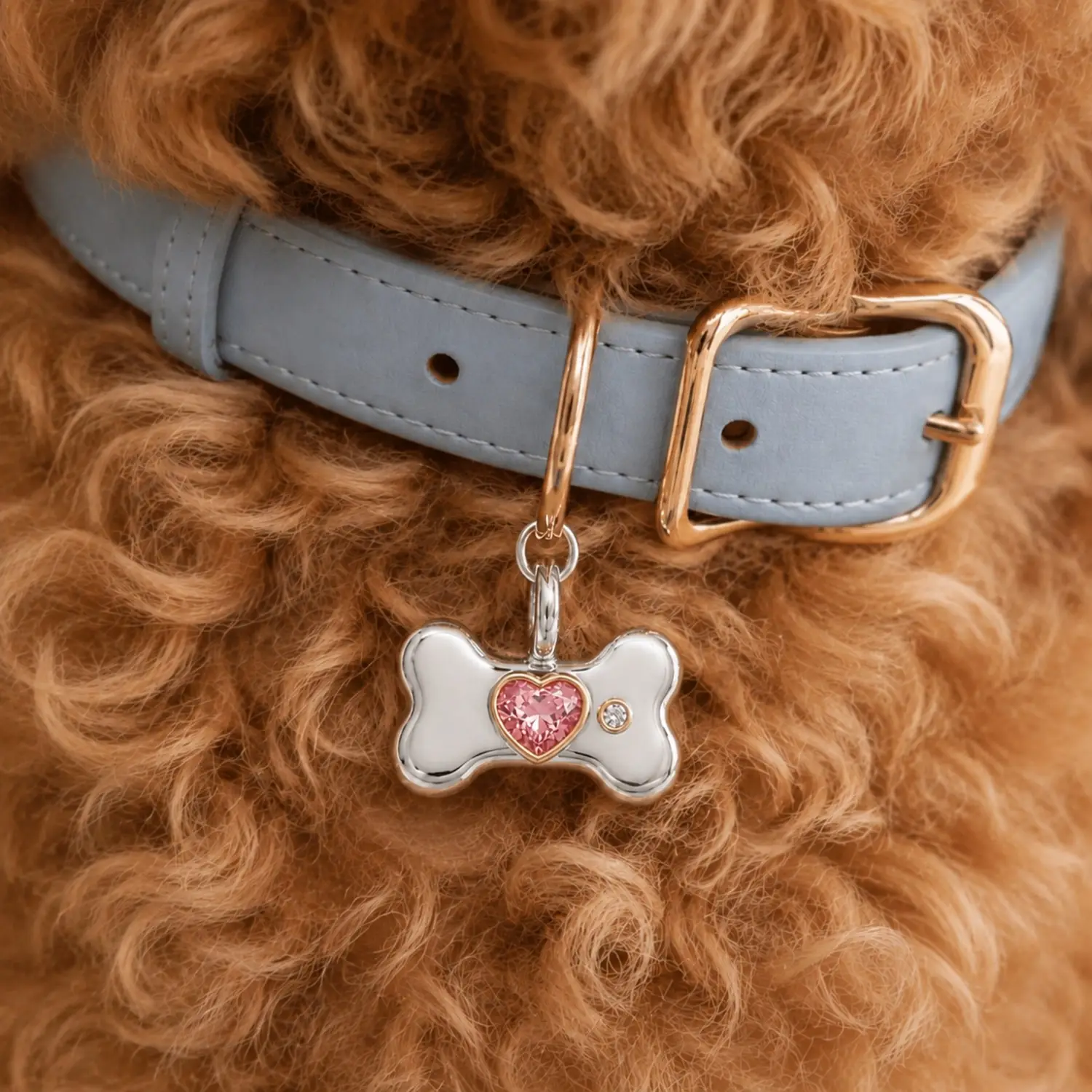 Close-up of a BooBoos gemstone bone charm worn on a blue collar