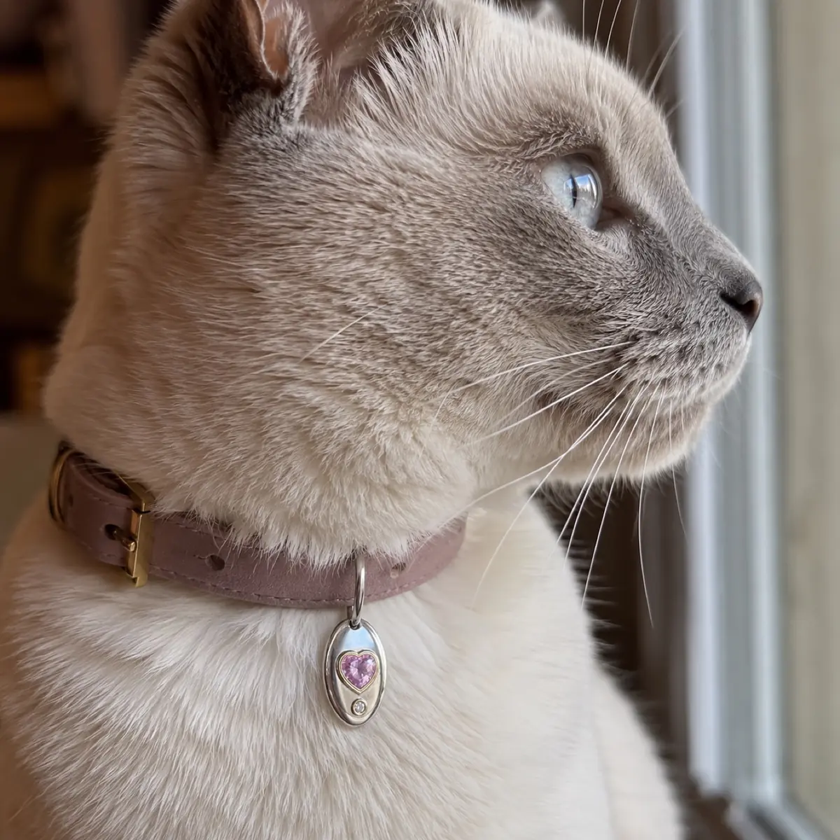 Cat wearing a BooBoos gemstone charm on a collar