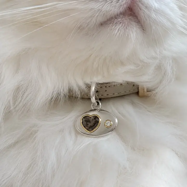 A BooBoos silver and gold heart charm on a white cat’s collar