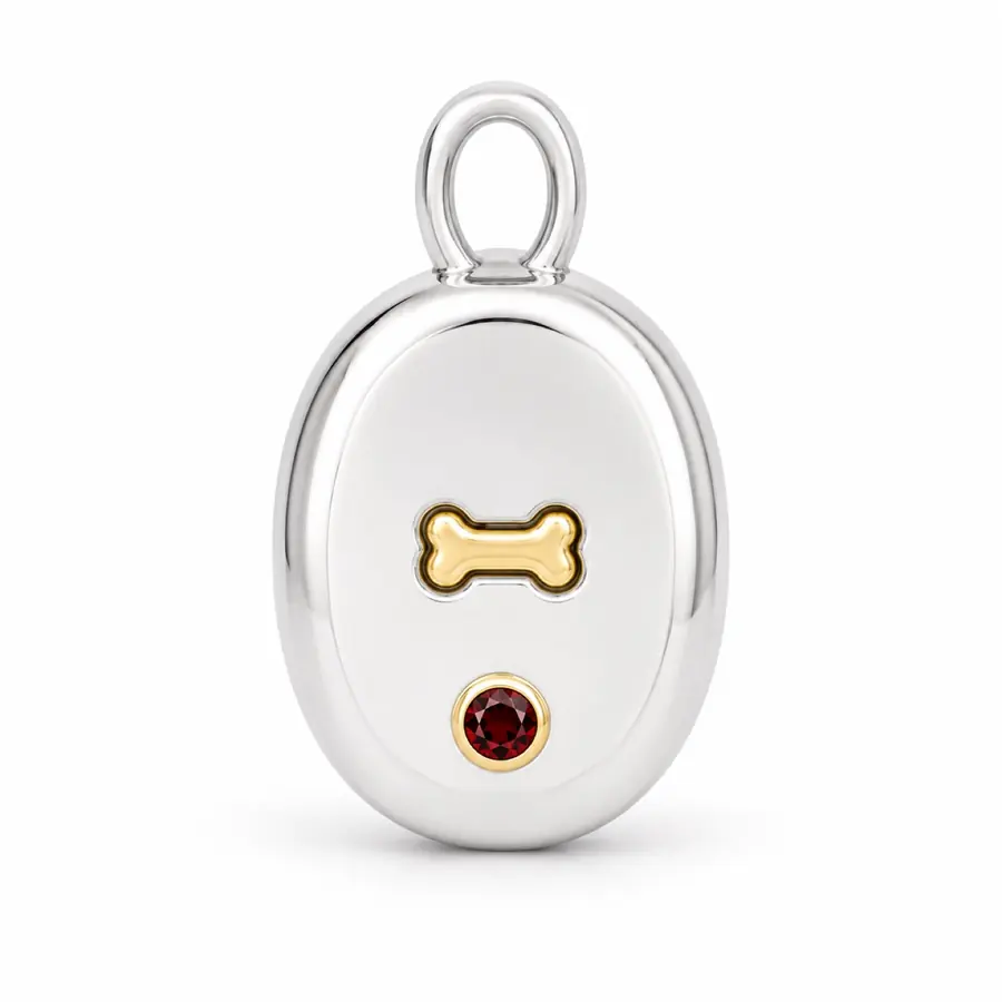 The Signet front charm close-up