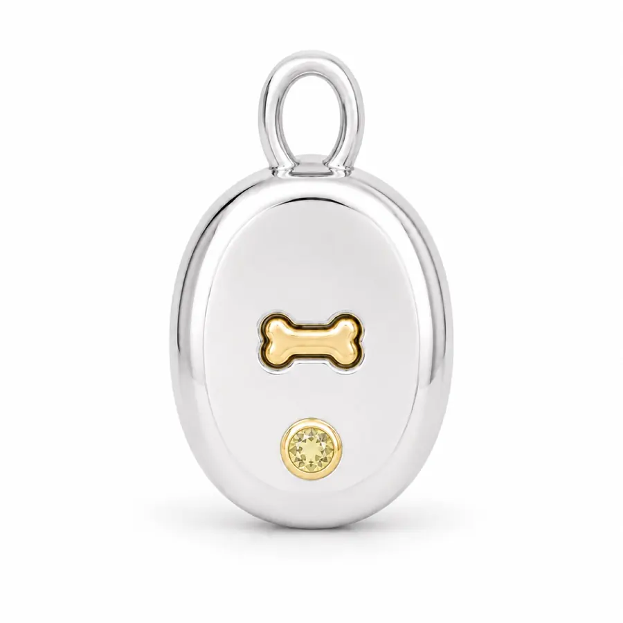 The Signet in another gemstone or worn in real life