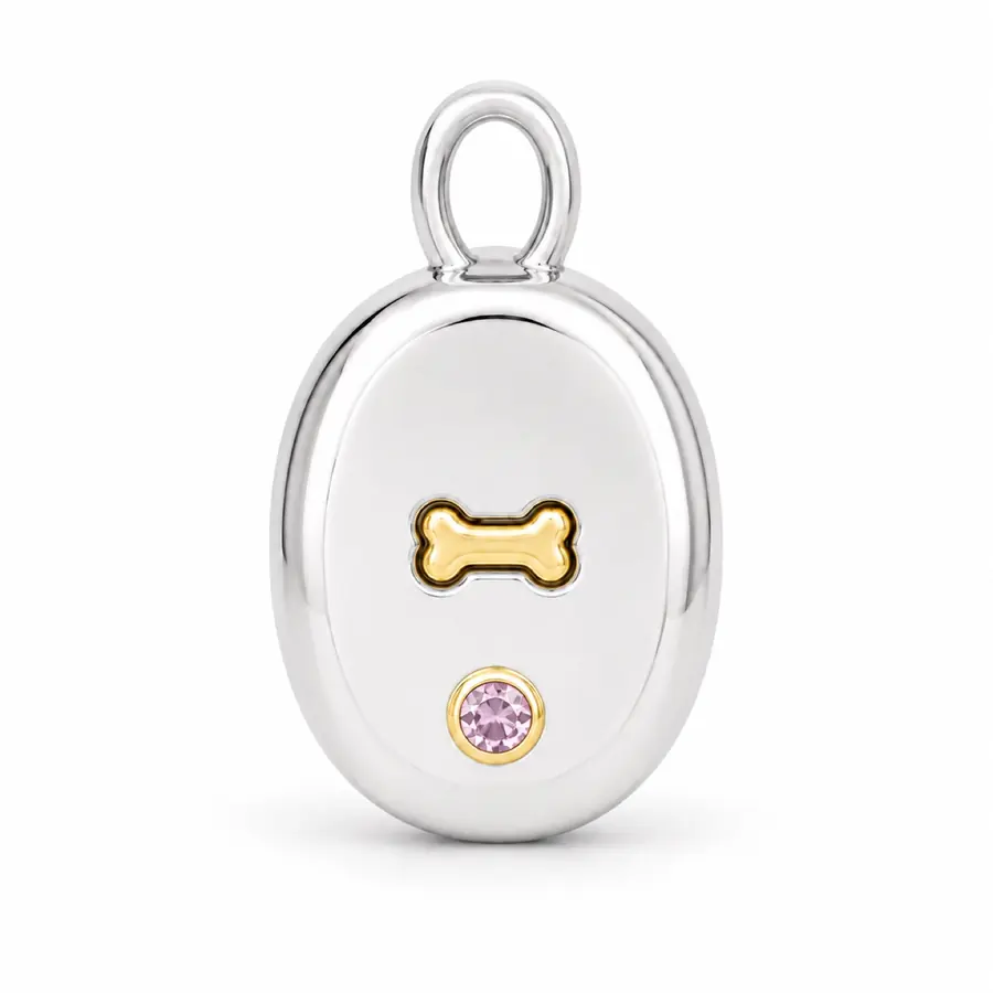 The Signet front charm preview