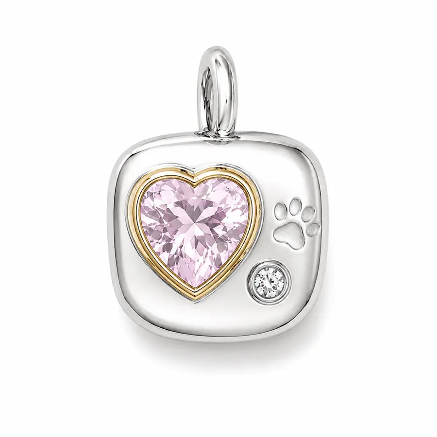 The Paw Print front charm preview